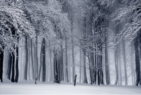 黄金面具：元宇宙里的文明密码-黄金甲体育