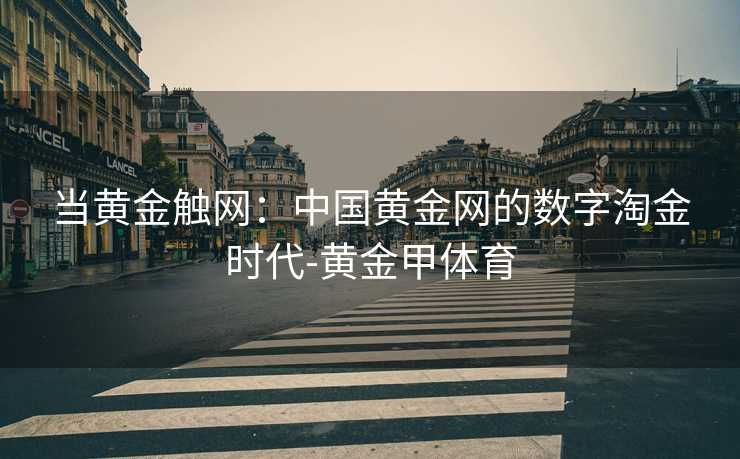 当黄金触网：中国黄金网的数字淘金时代-黄金甲体育